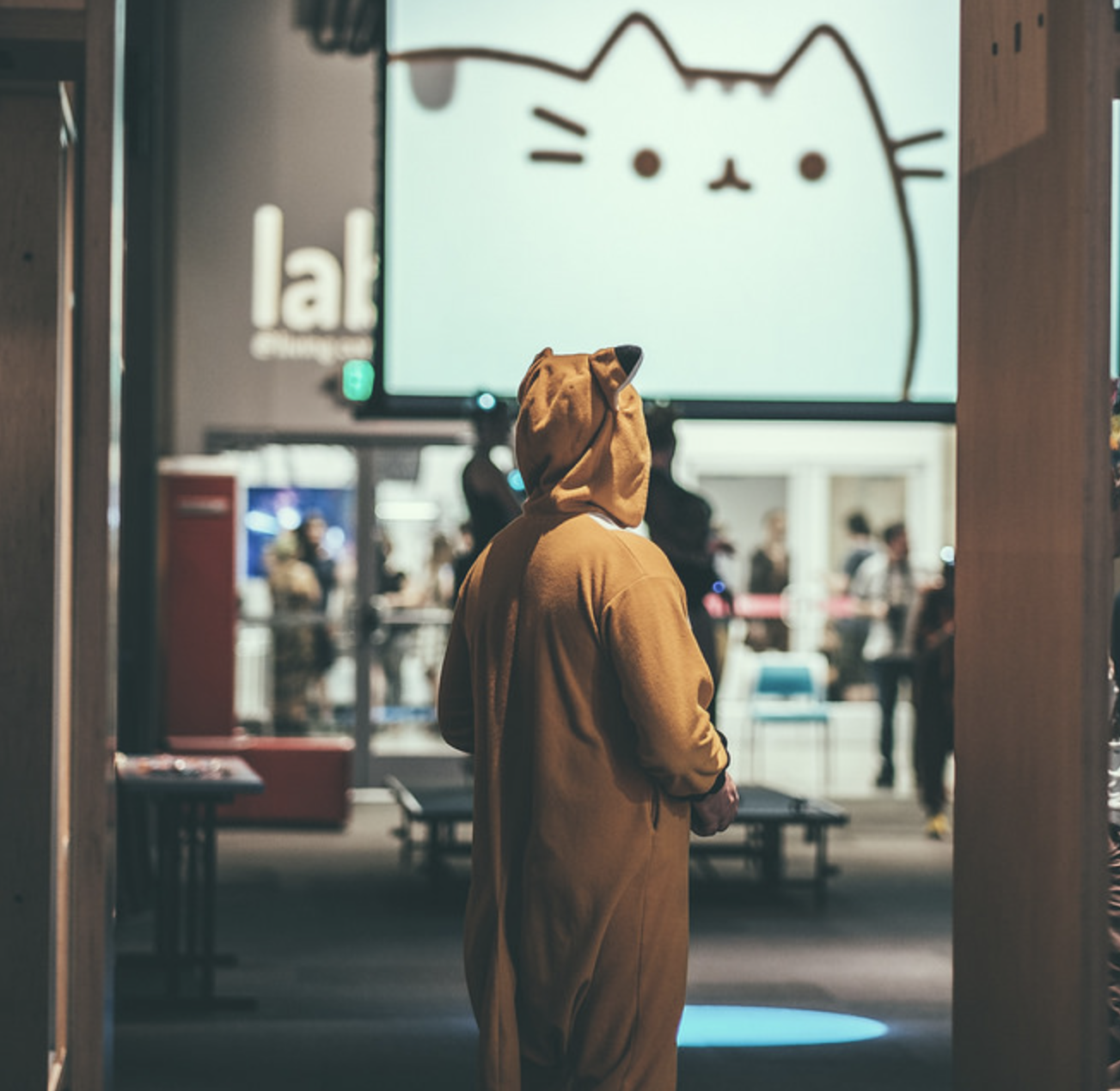 The great Internet Cats see all. May 2017