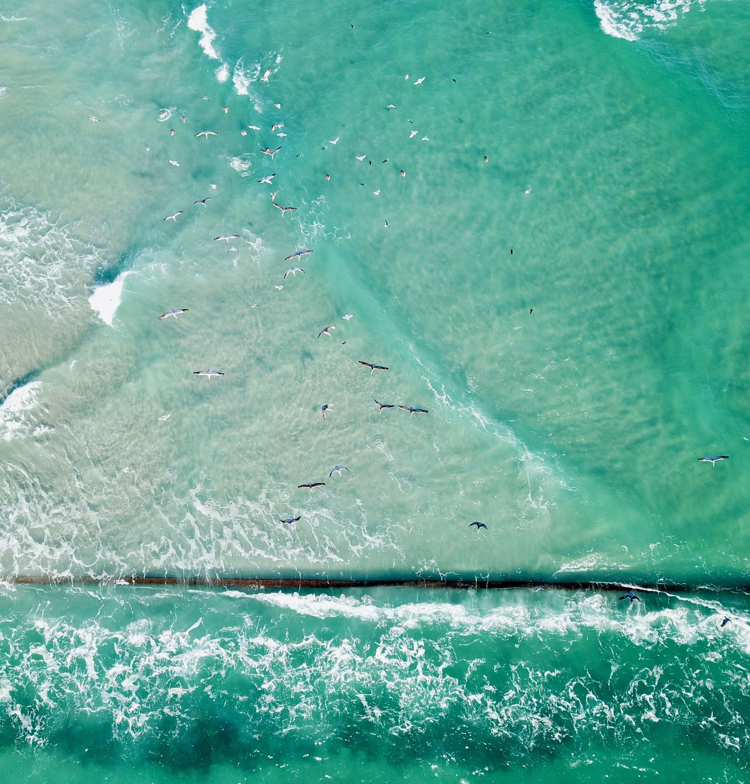 DJI_0516.jpg