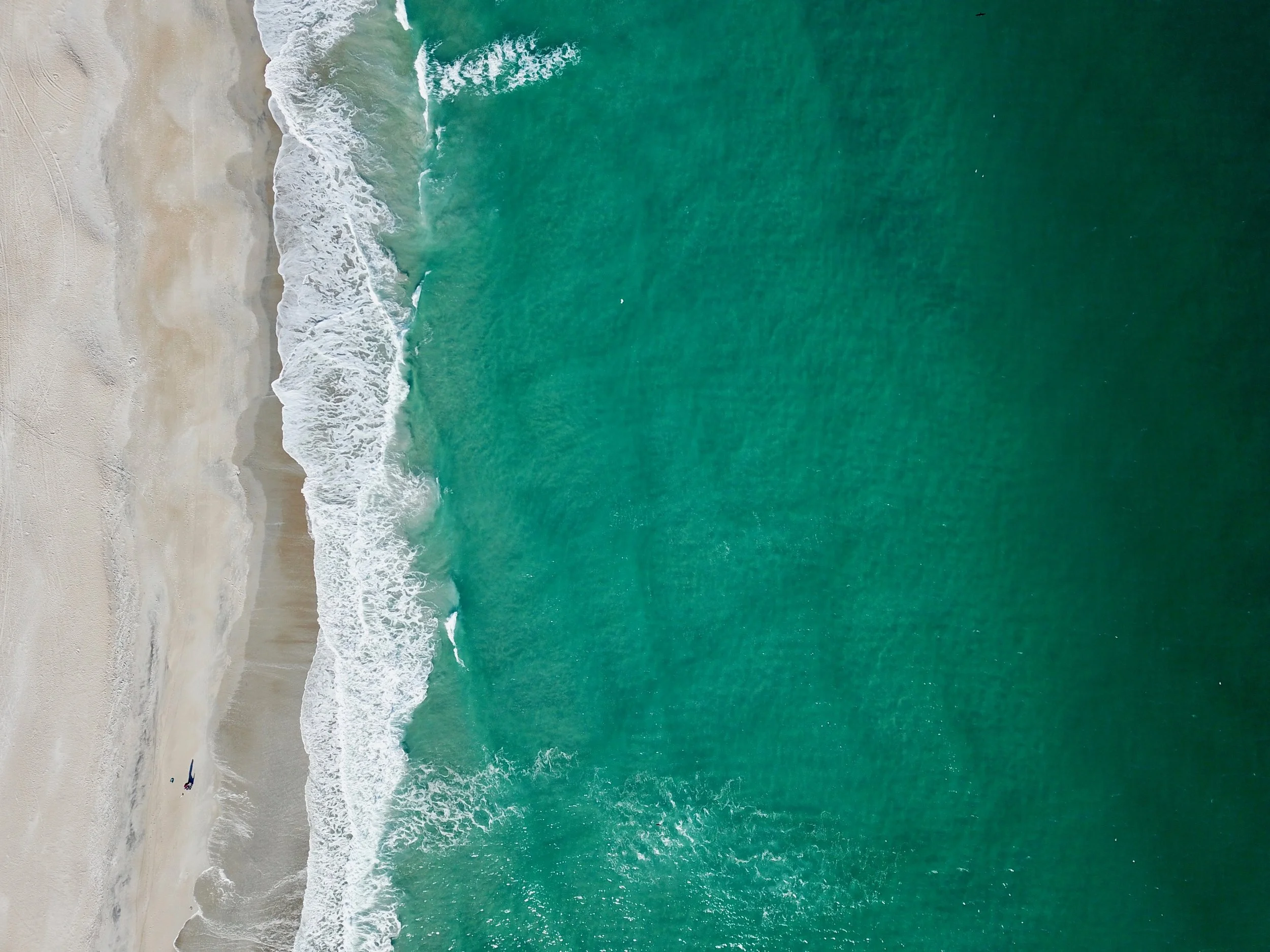 DJI_0504.jpg