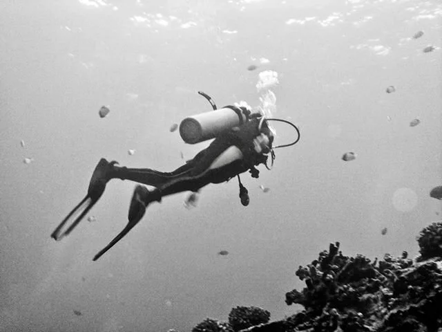 Spent most of the day going trough some beautiful memories of our time underwater. Found my diving equipment and now I&rsquo;m excited to spend some time in the ocean listening to its sounds 🤿 🤙🏻💙
