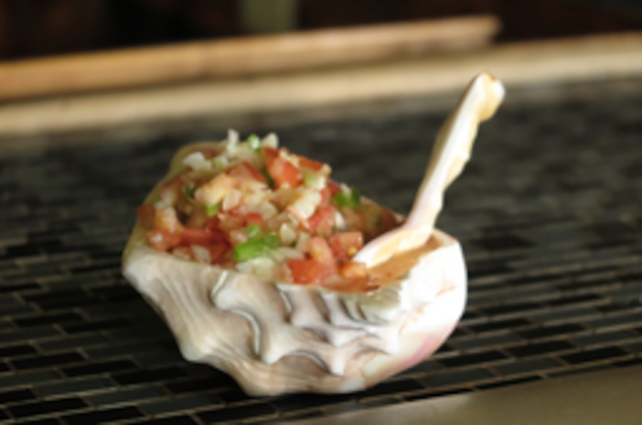 Conch Salad 