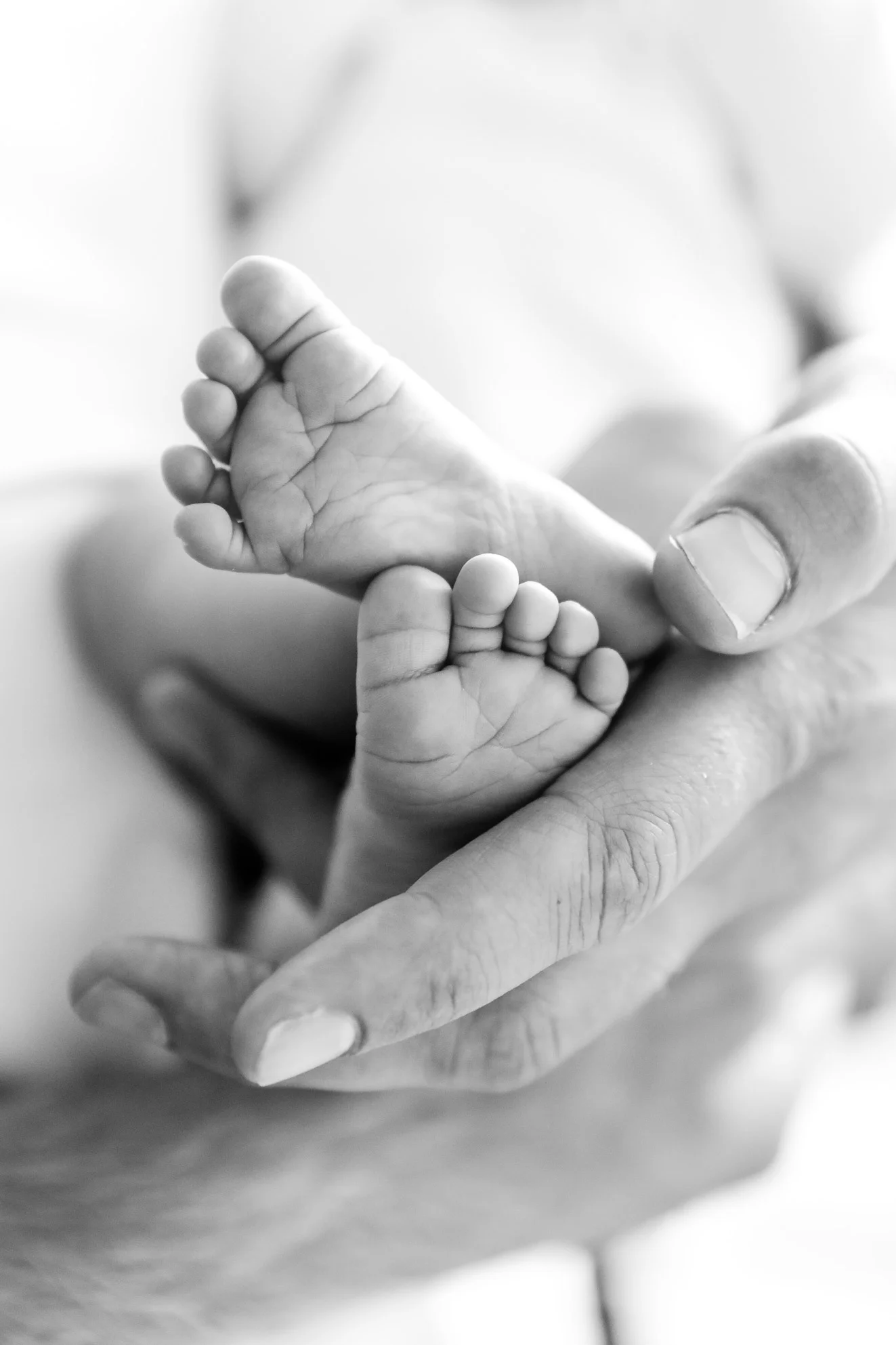 Britt_James_Photography_6P3A8506-2.jpg