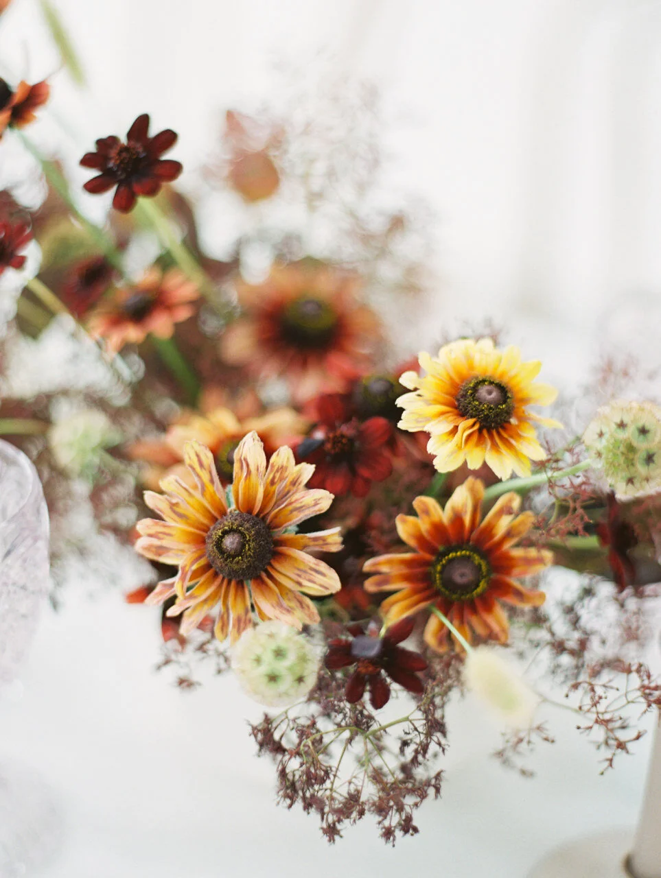 leila-brewster-photography-027.jpg
