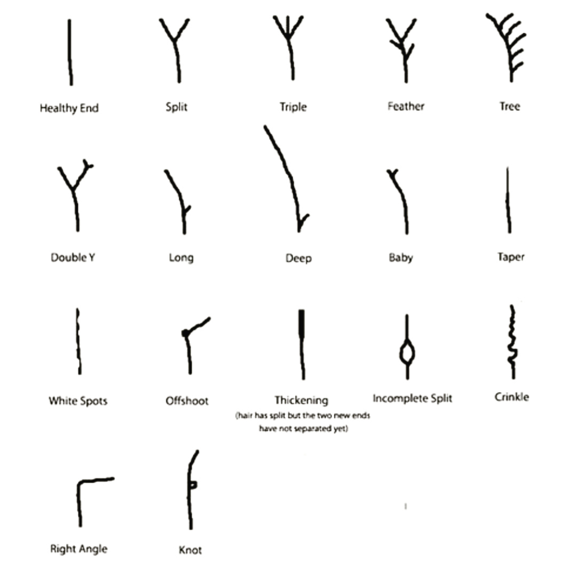 Split Ends — The Mestiza Muse Split Ends — The Mestiza Muse