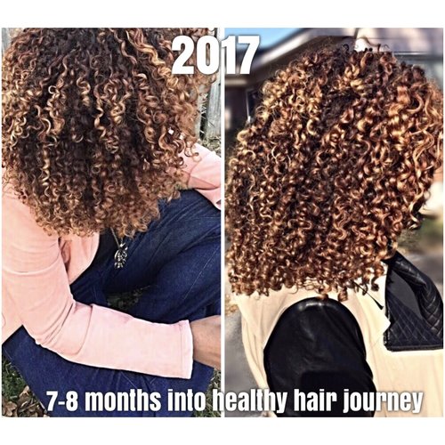 A Brief Look Into My Healthy Hair Journey The Mestiza Muse