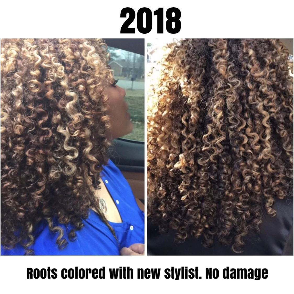 A Brief Look Into My Healthy Hair Journey The Mestiza Muse