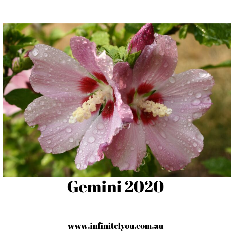 Gemini Energy Trends 2020 - Learning To Fly