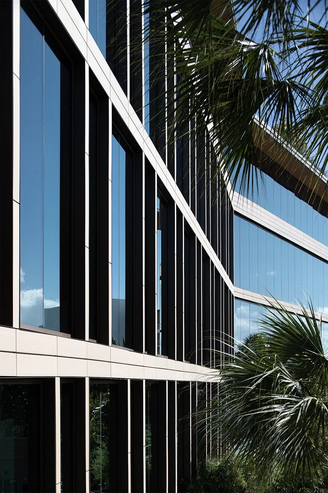 Coco mood_9617 copy for website.jpg