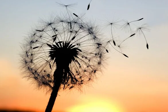 https___www.goalcast.com_wp-content_uploads_2017_10_Abundance-and-letting-go.jpg