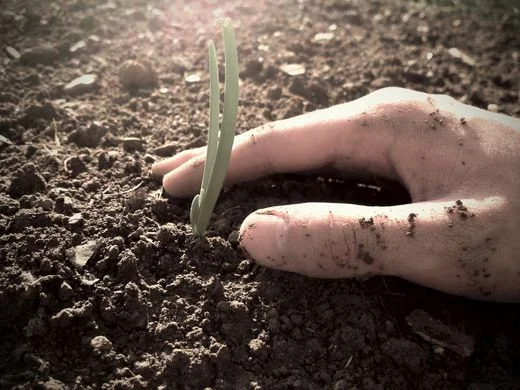 http___sos-4jesus.org_images_Planting%20Seeds.jpg