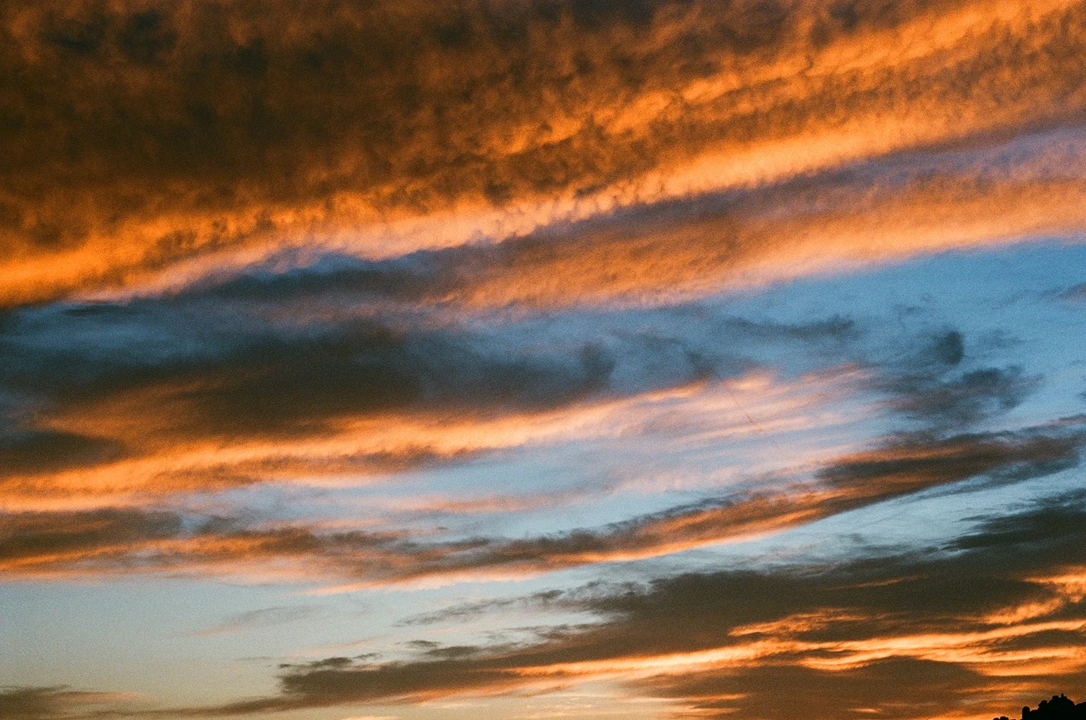 000065380019.jpg