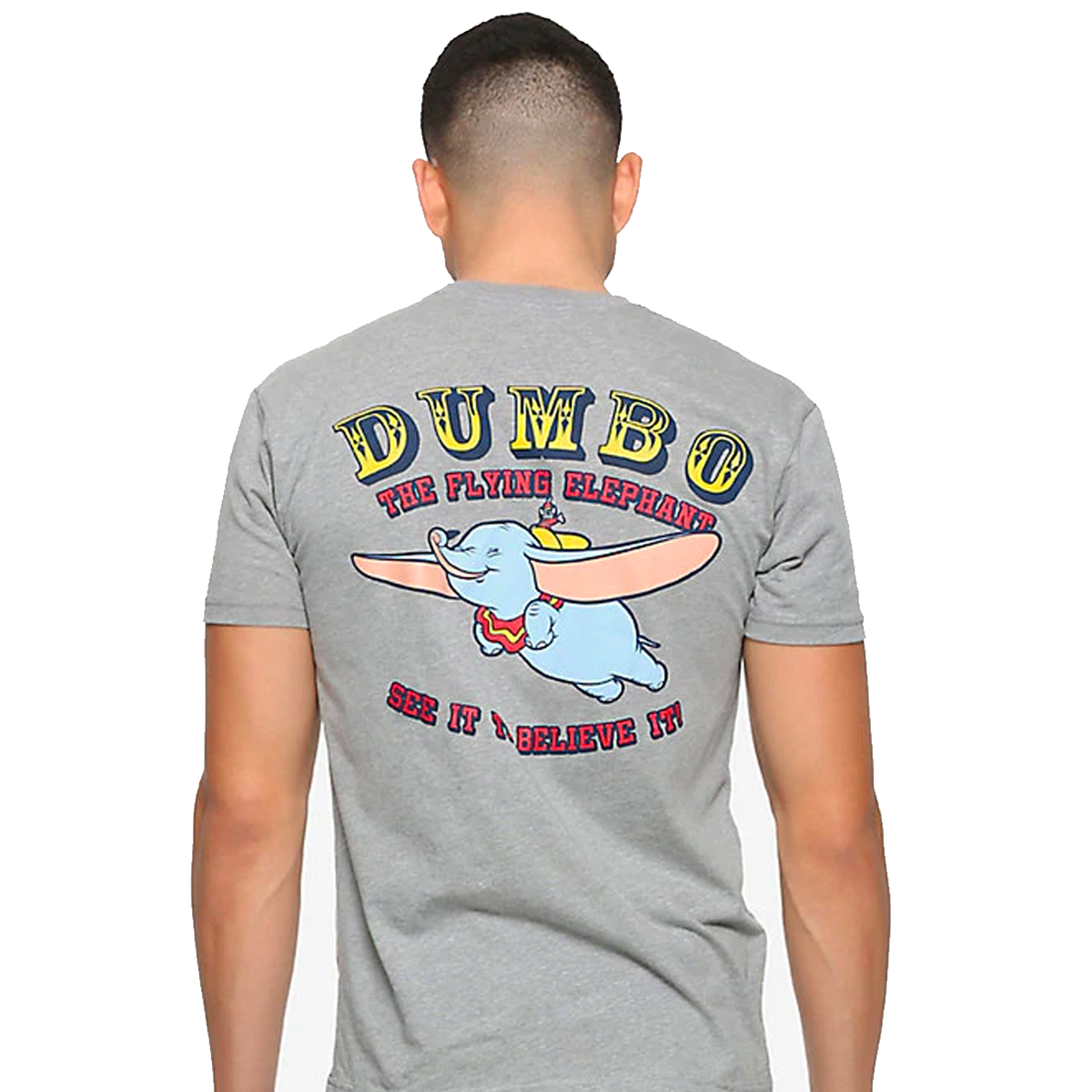 DumboBoxLunch.png