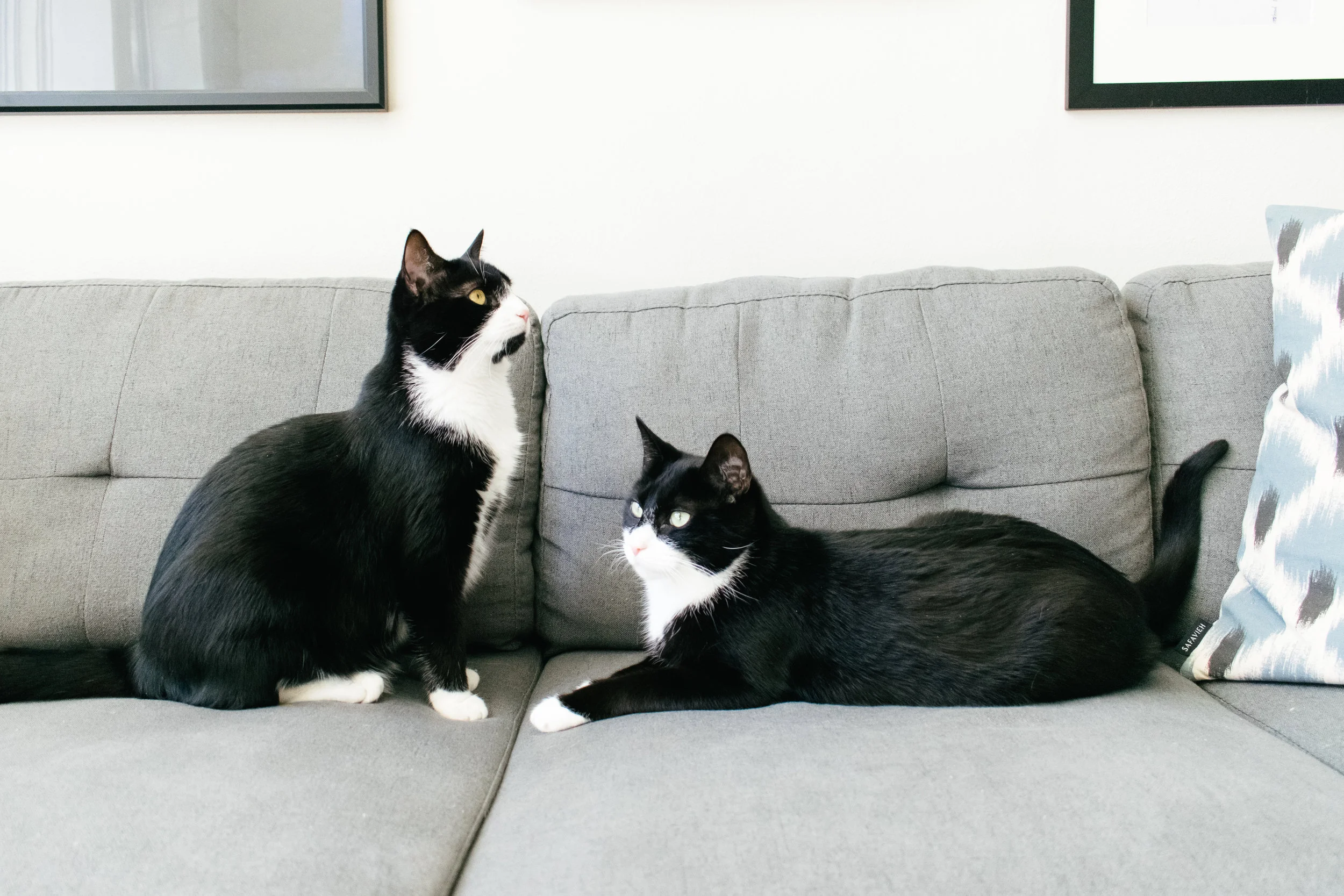 Family Couch-1.jpg