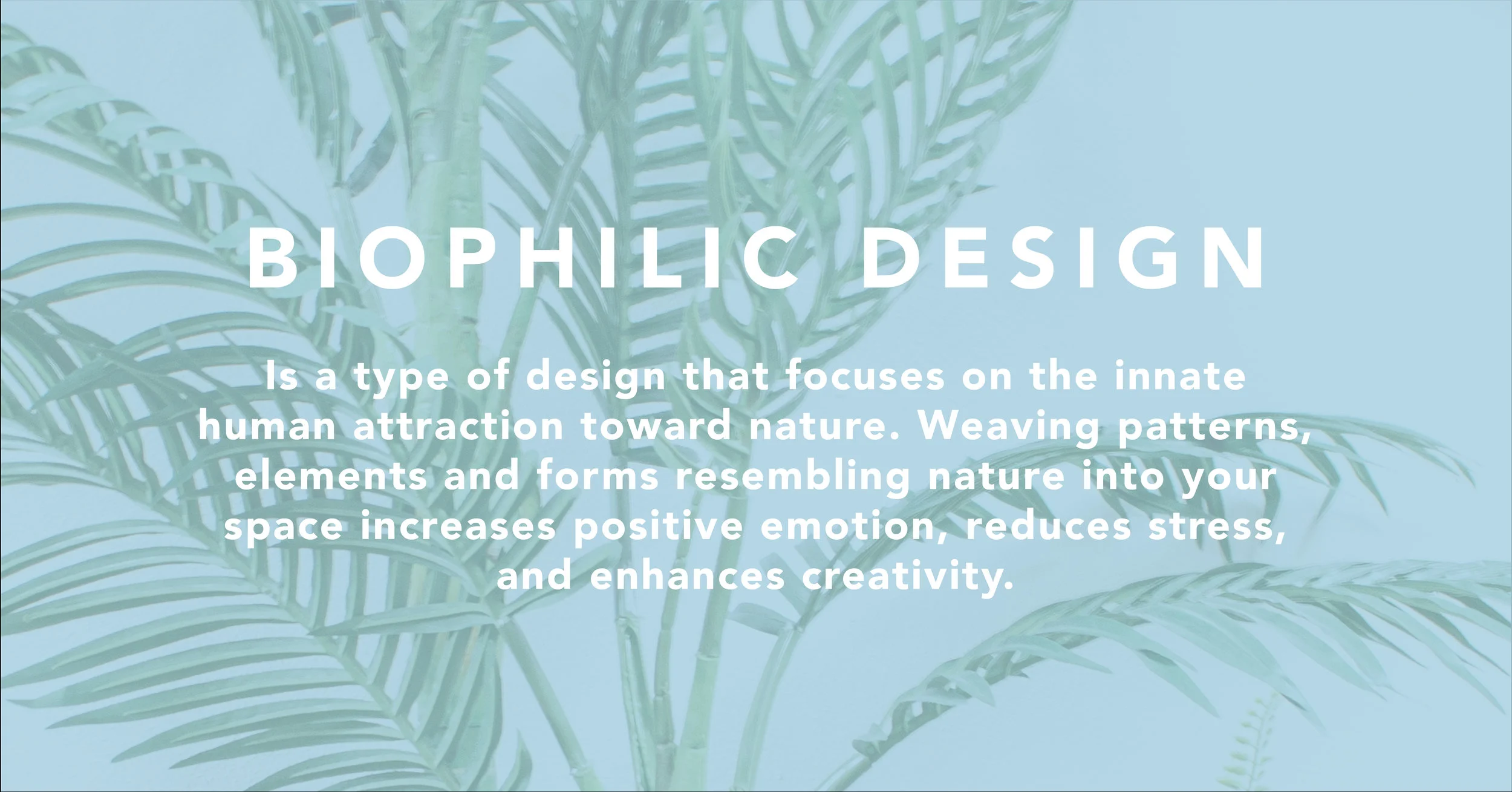 Biophilic definition.jpg
