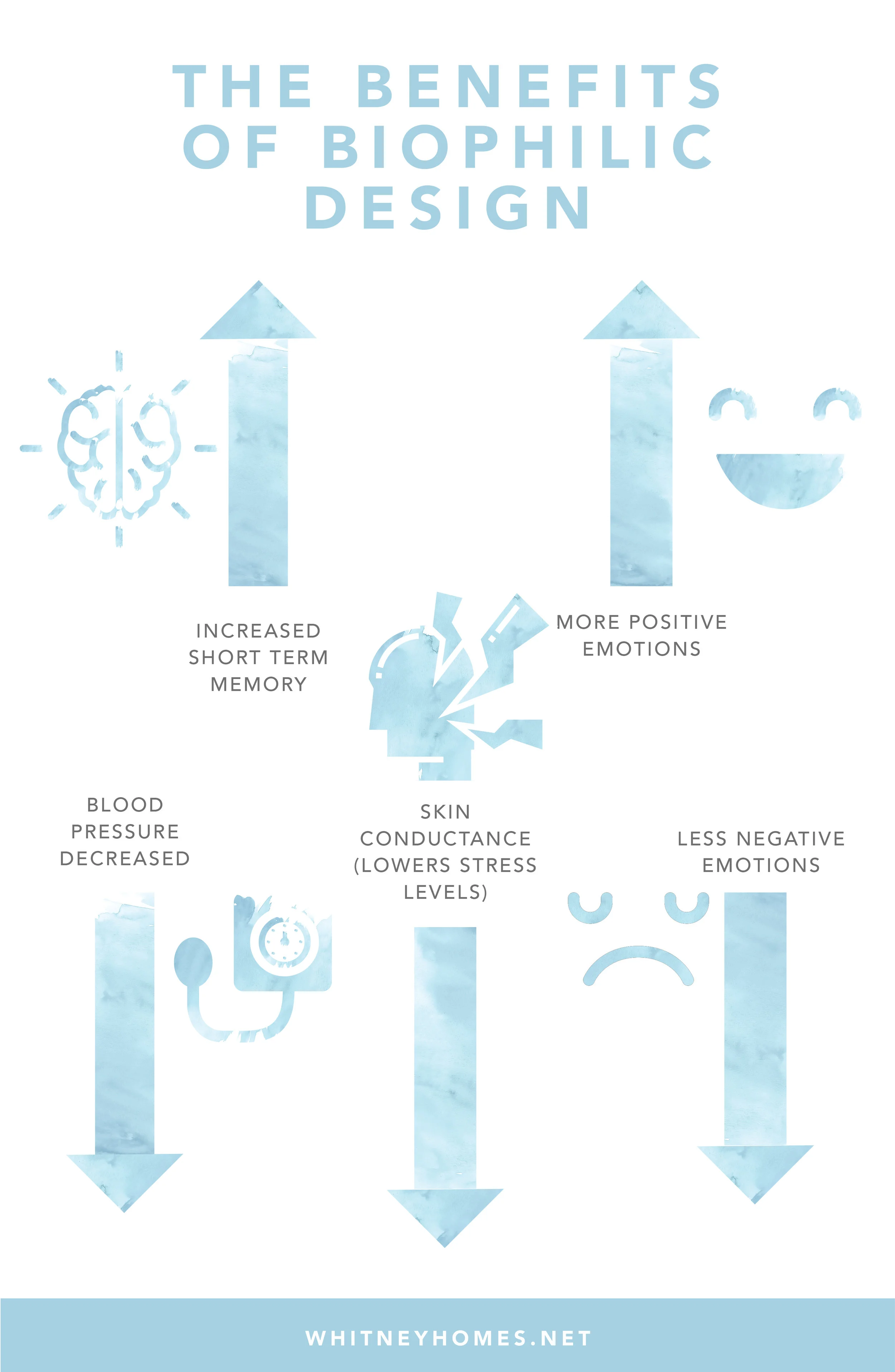 WH_Plants-Happy_Graphics2.jpg