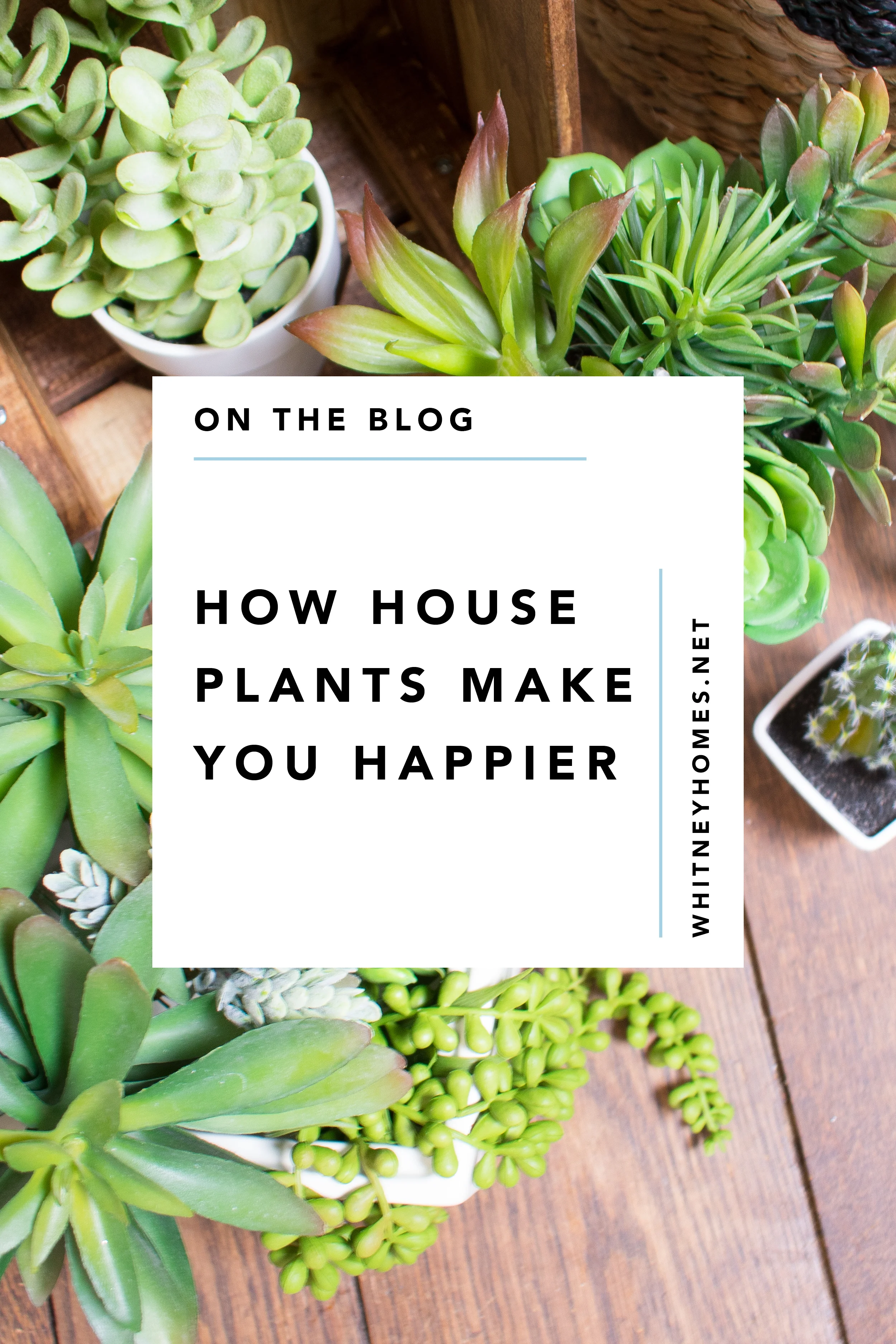 WH_Plants-Happy12.jpg