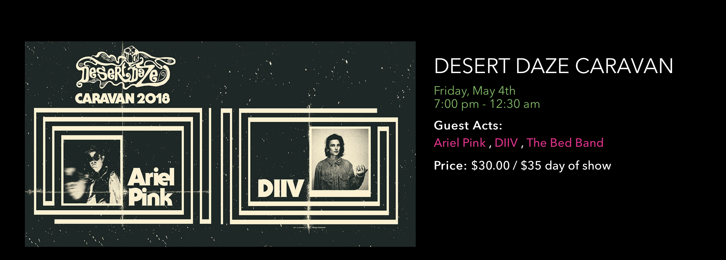 The Bed Band opens for Ariel Pink and DIIV for Desert Days Caravan