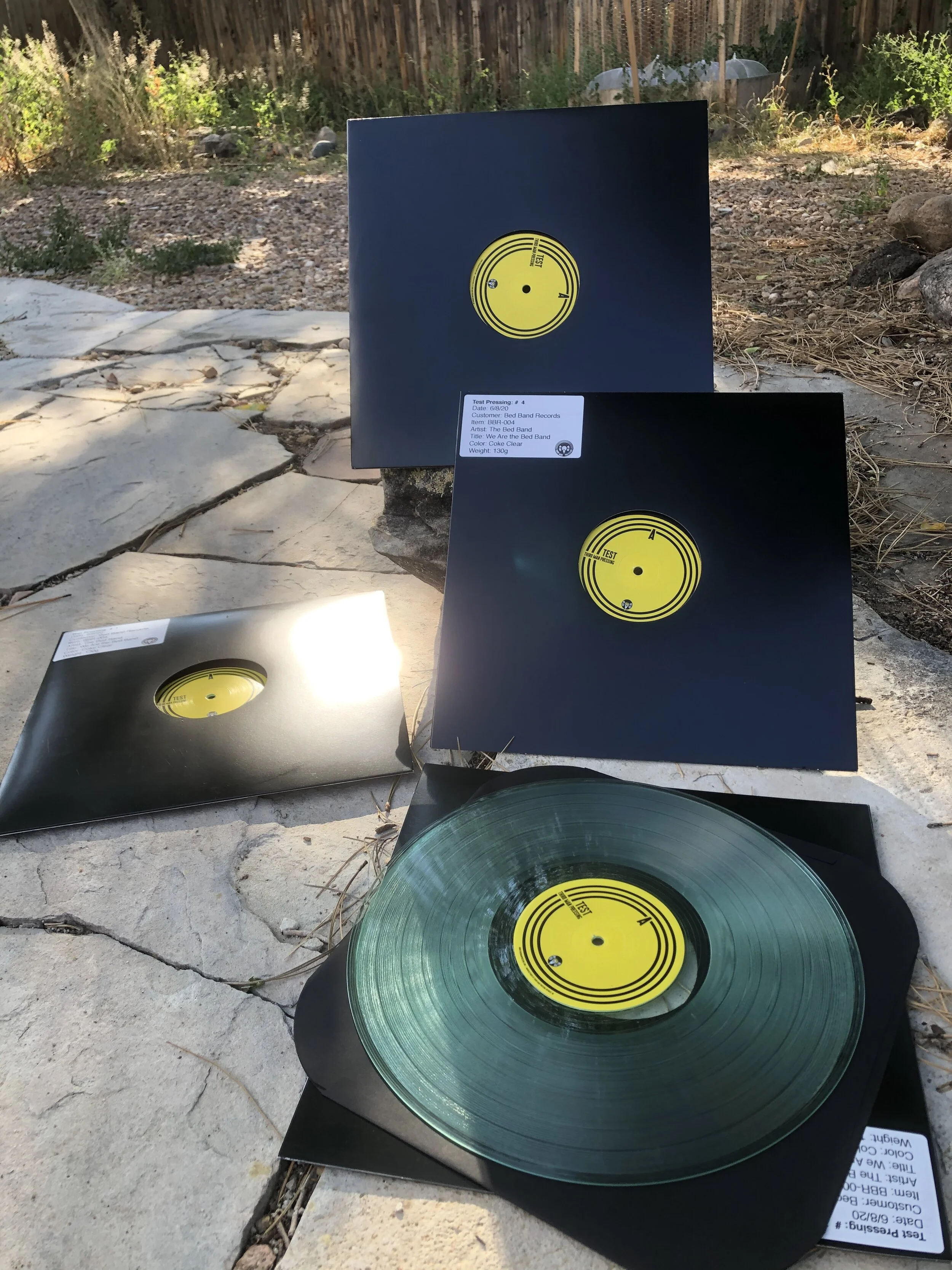 WE ARE THE BED BAND TEST PRESSING
