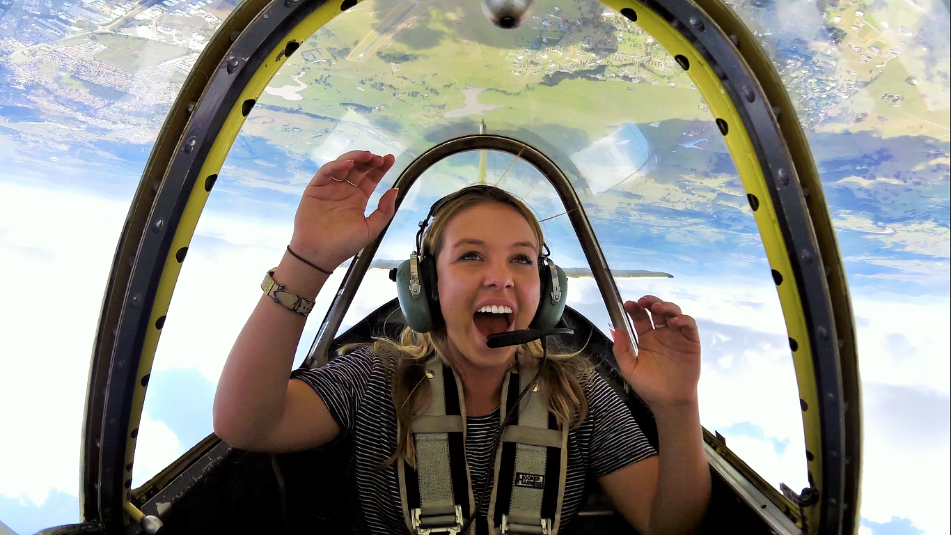 Joy Flight.png
