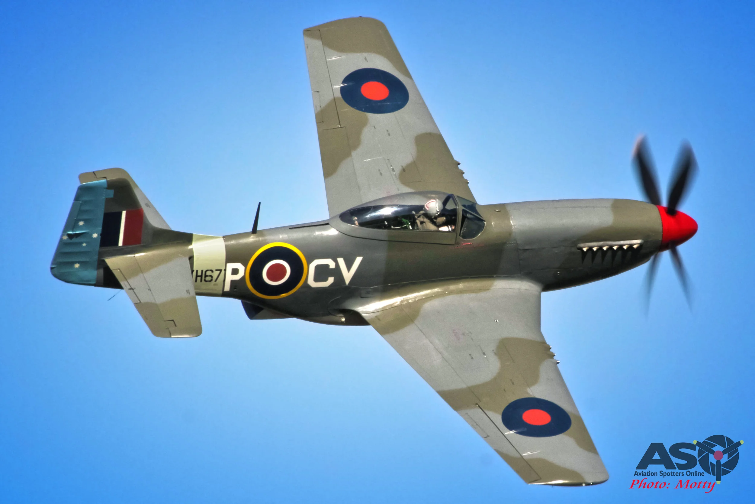 Mustang 2.jpg