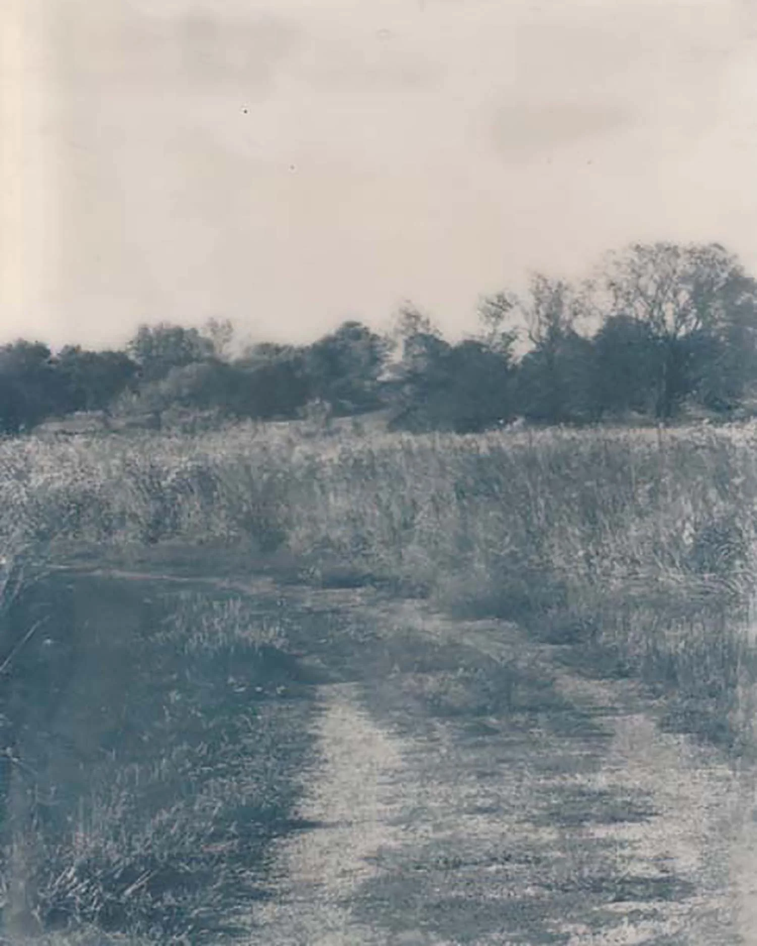encaustic_theroad_#3.jpg