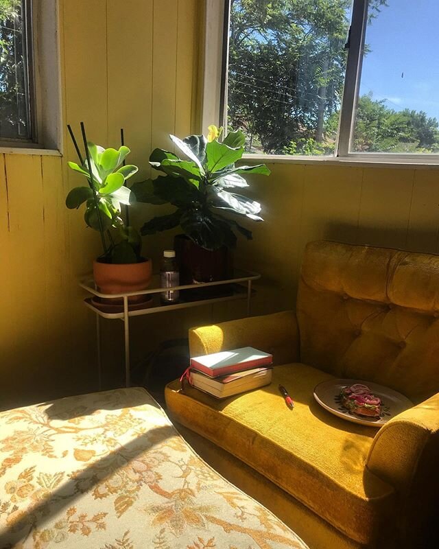 Welcoming summer mornings