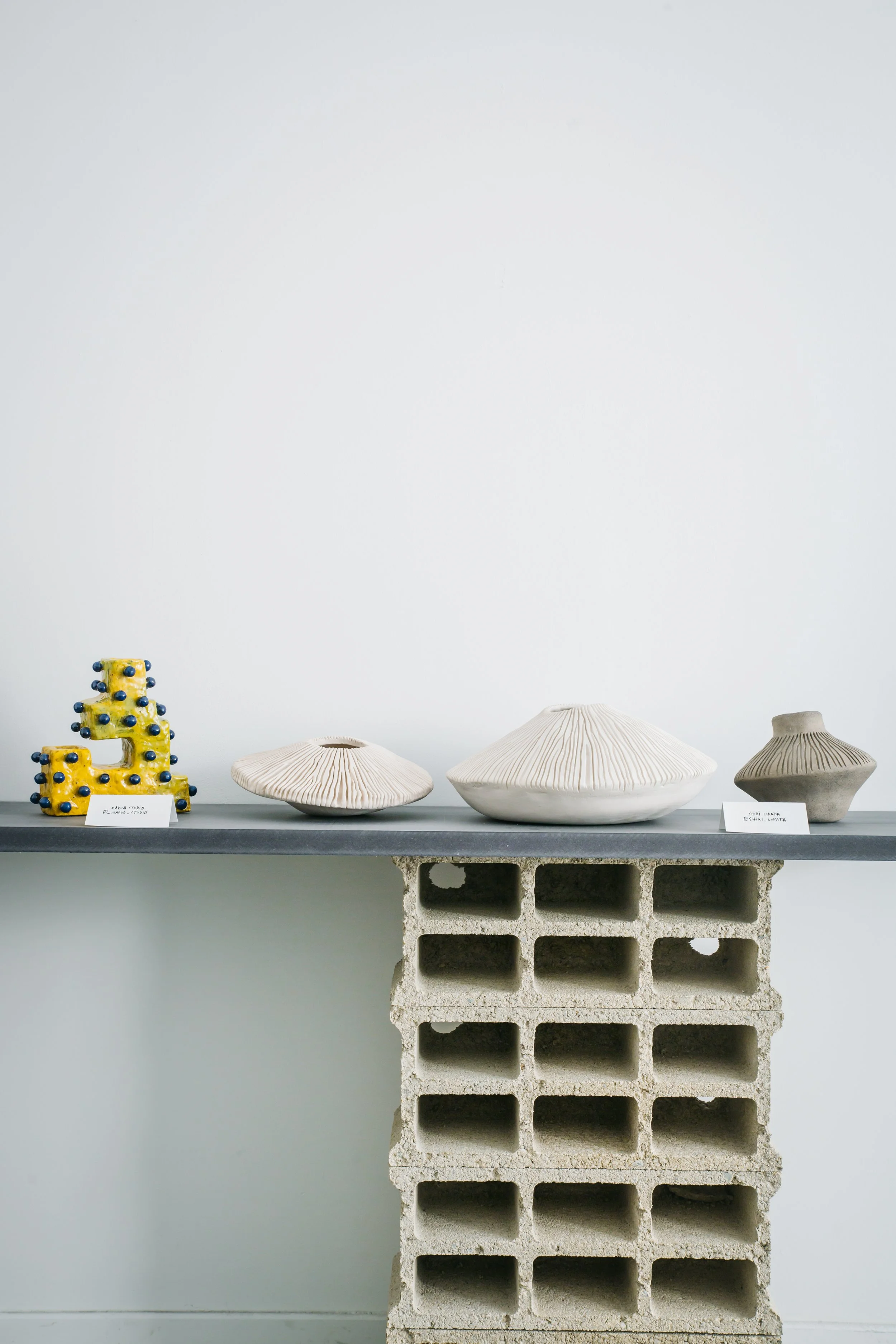 240906_1000 VASES_HD-005.jpg