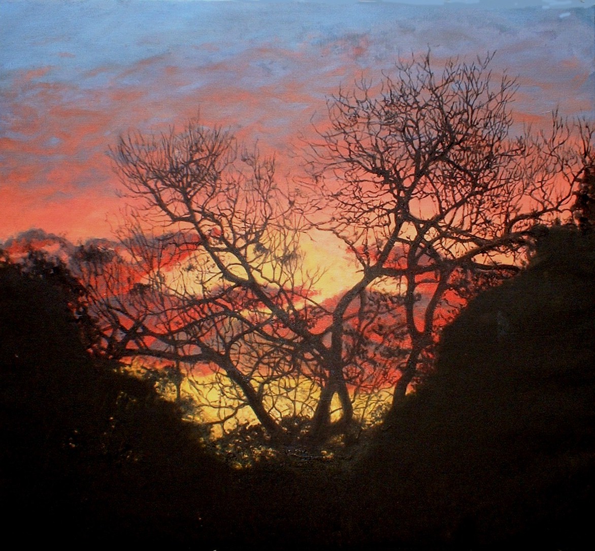 Jacaranda, oil on linen 42"x42", private collection