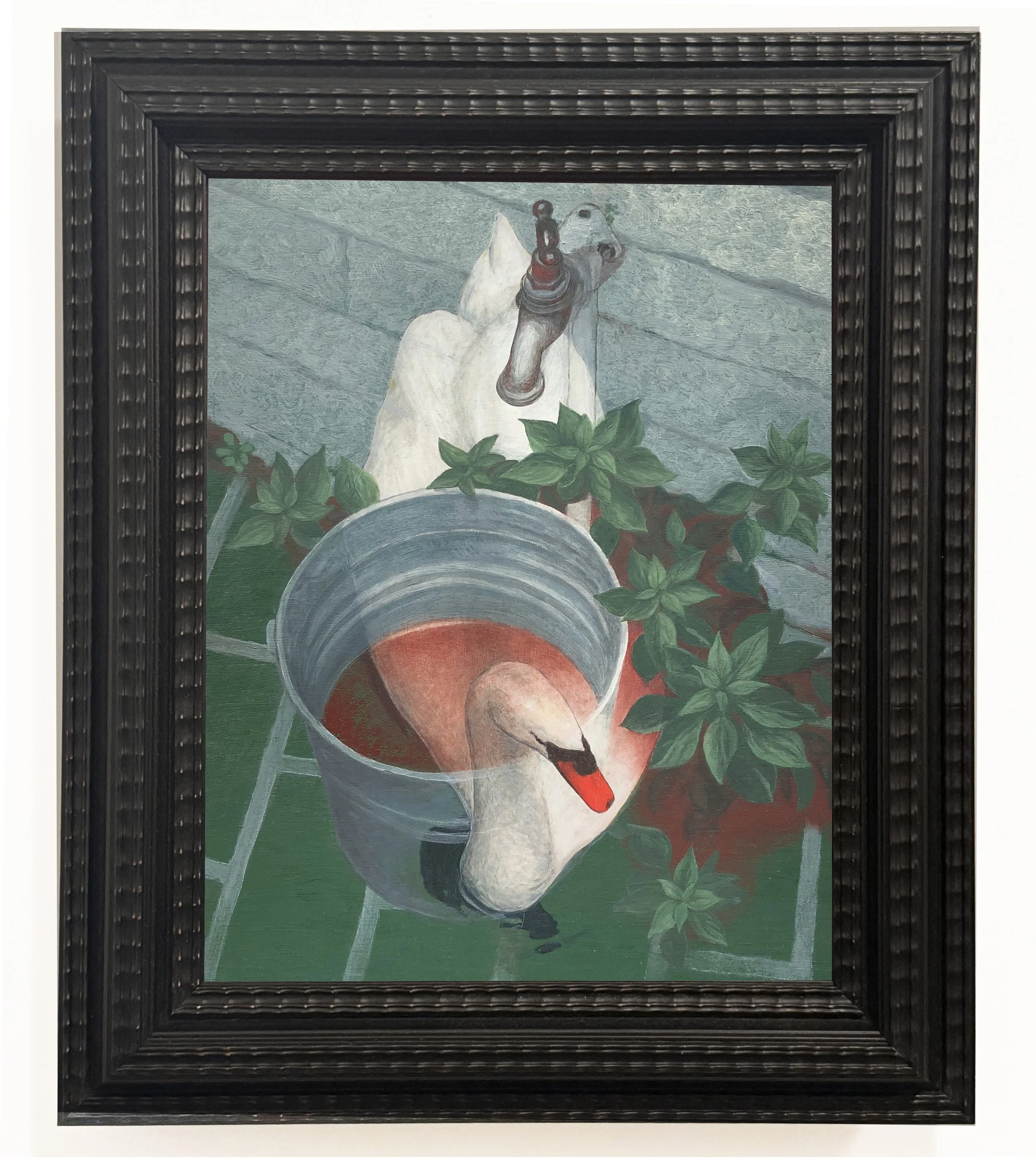 Black Swan, oil on copper 30x40cm (+ frame)