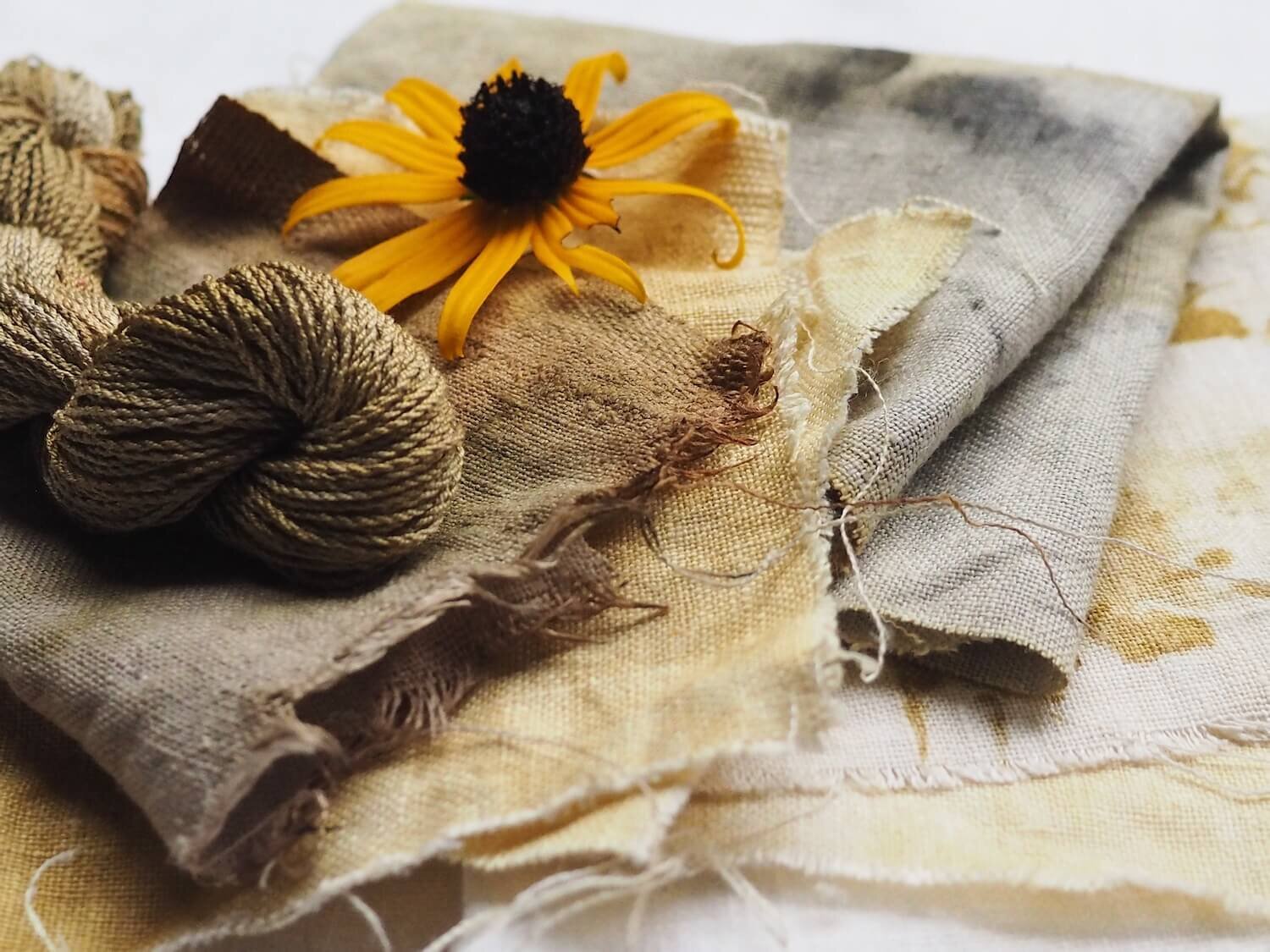 ellie beck petalplum_9124.JPG