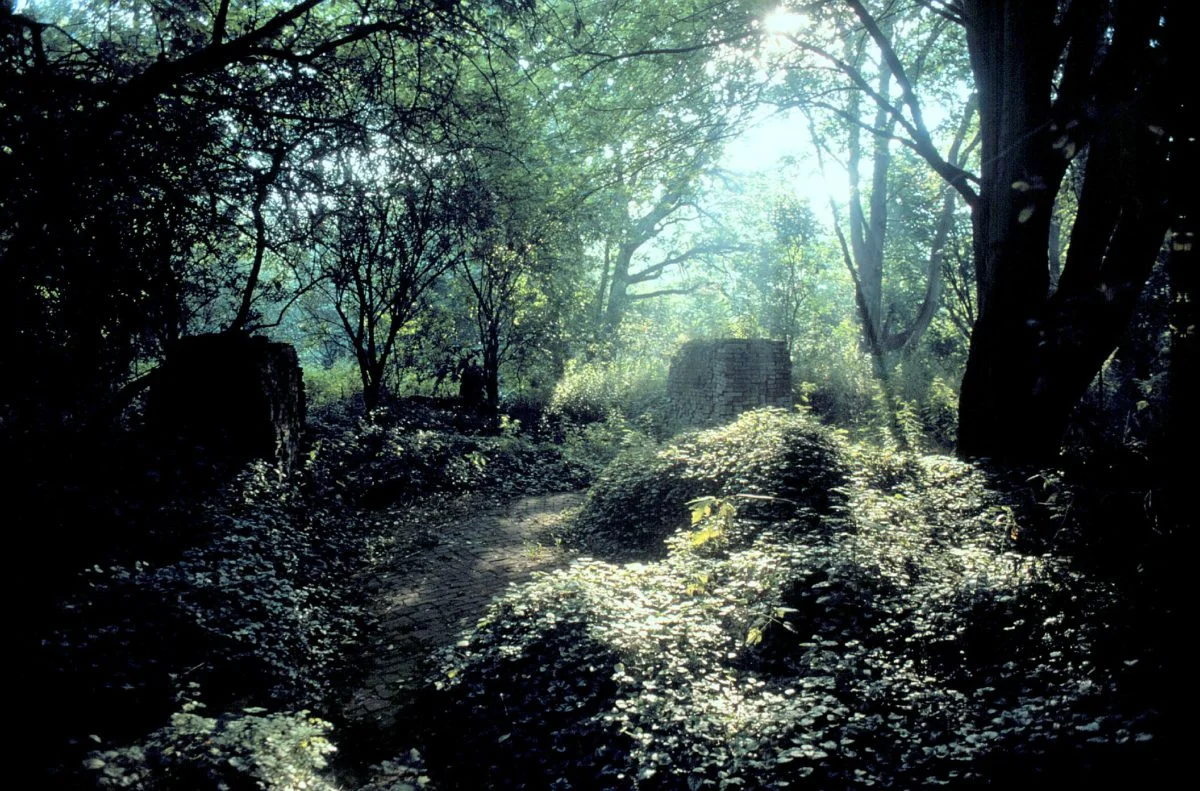 Ecokathedraal in Heerenveen,&nbsp;Luis le Roy