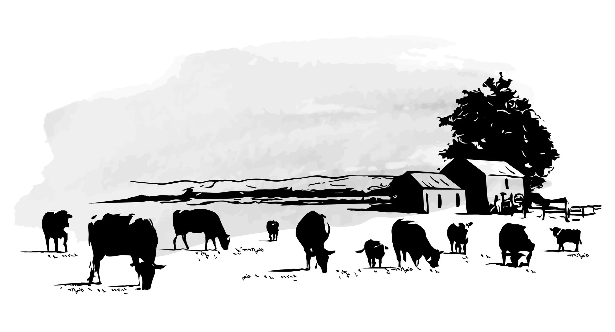 03_Illustration.jpg
