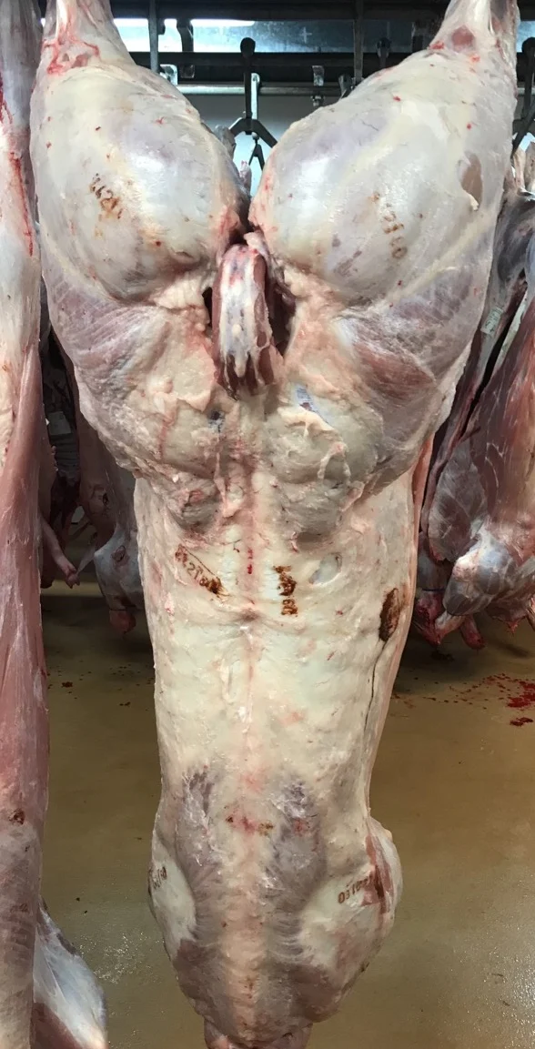 Veau fermier élevé sous la mère (classement : 0U3)