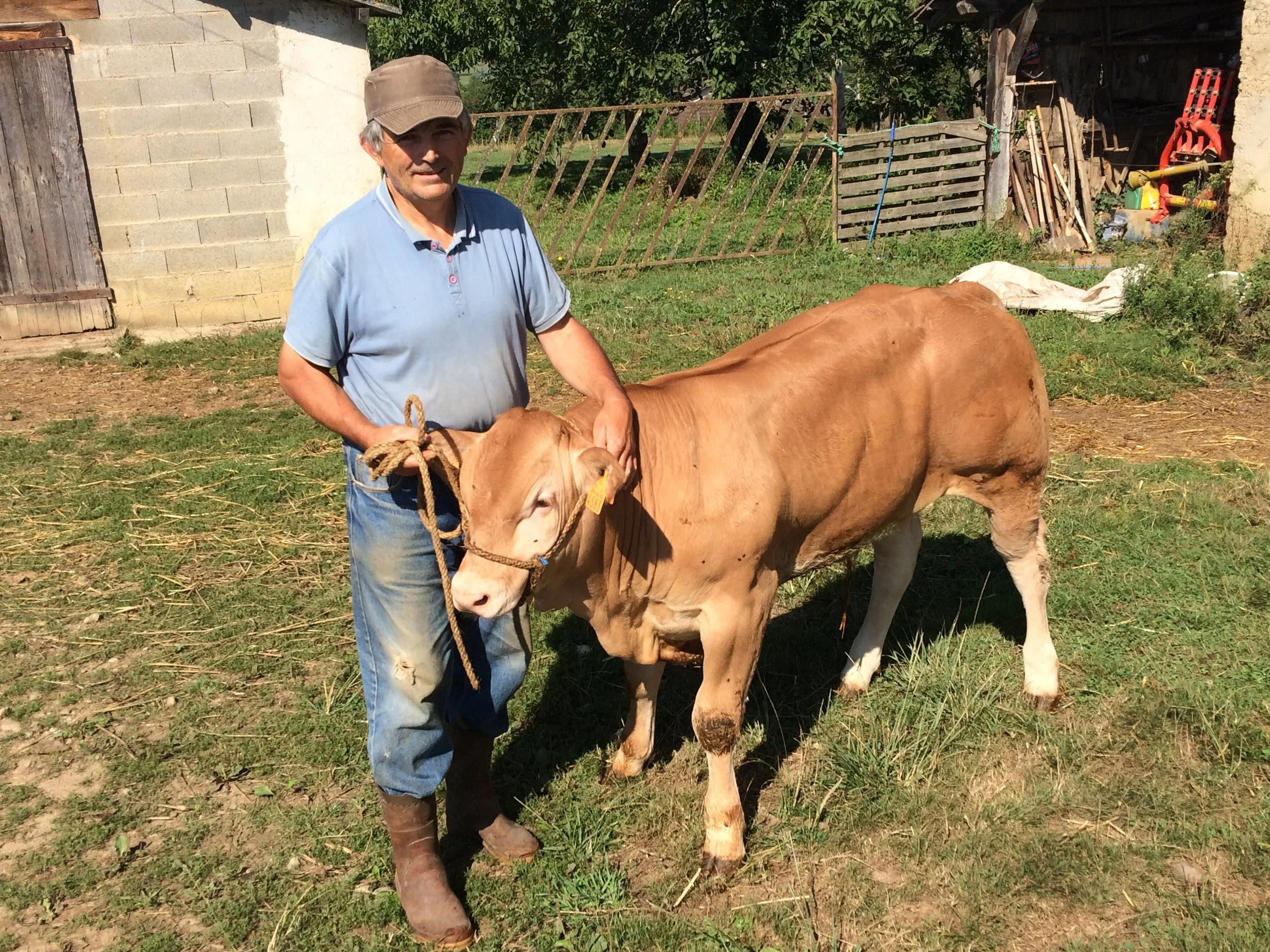 Un de nos éleveurs heureux et fier de ses bêtes