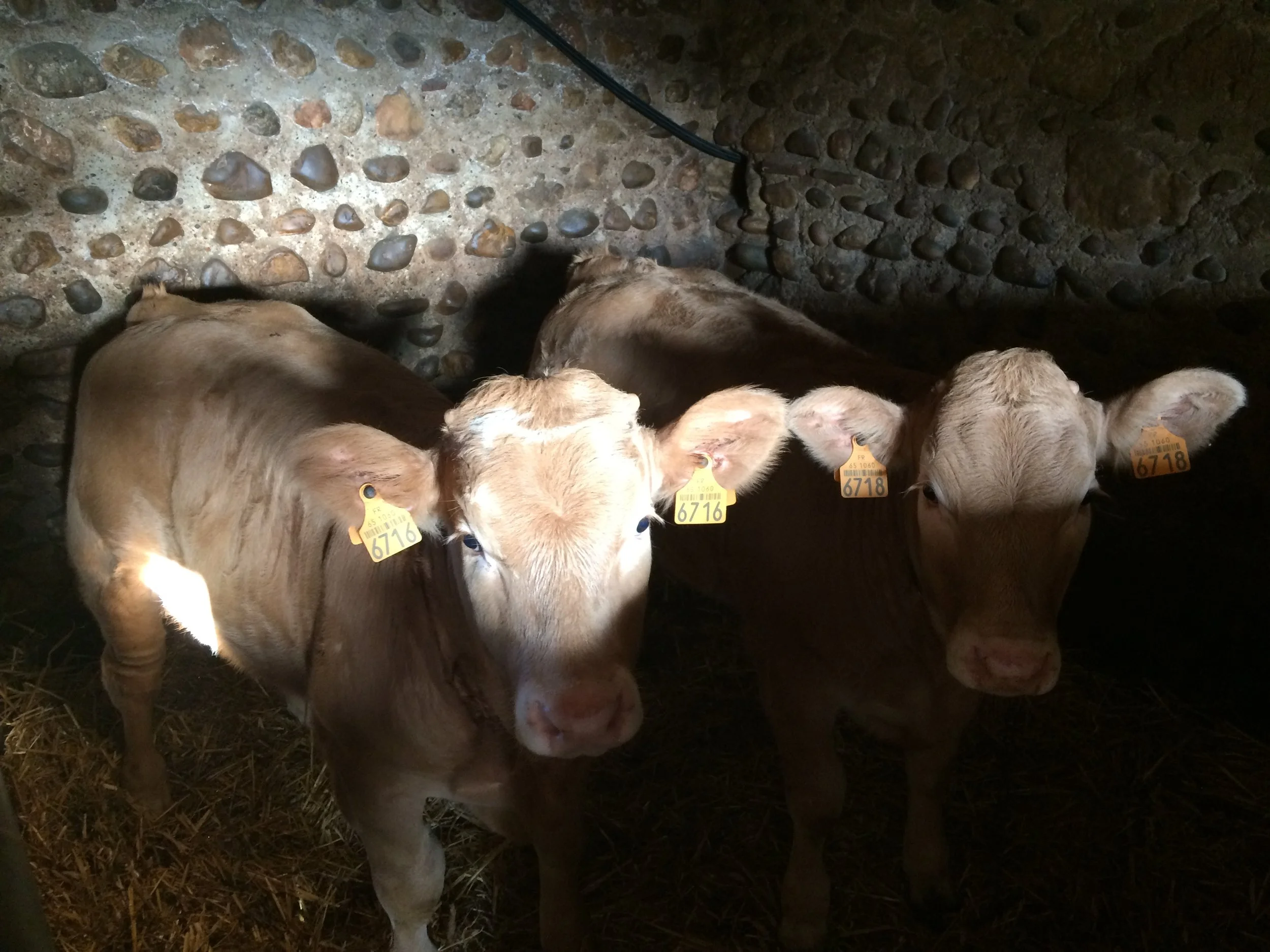 Au réveil le matin !