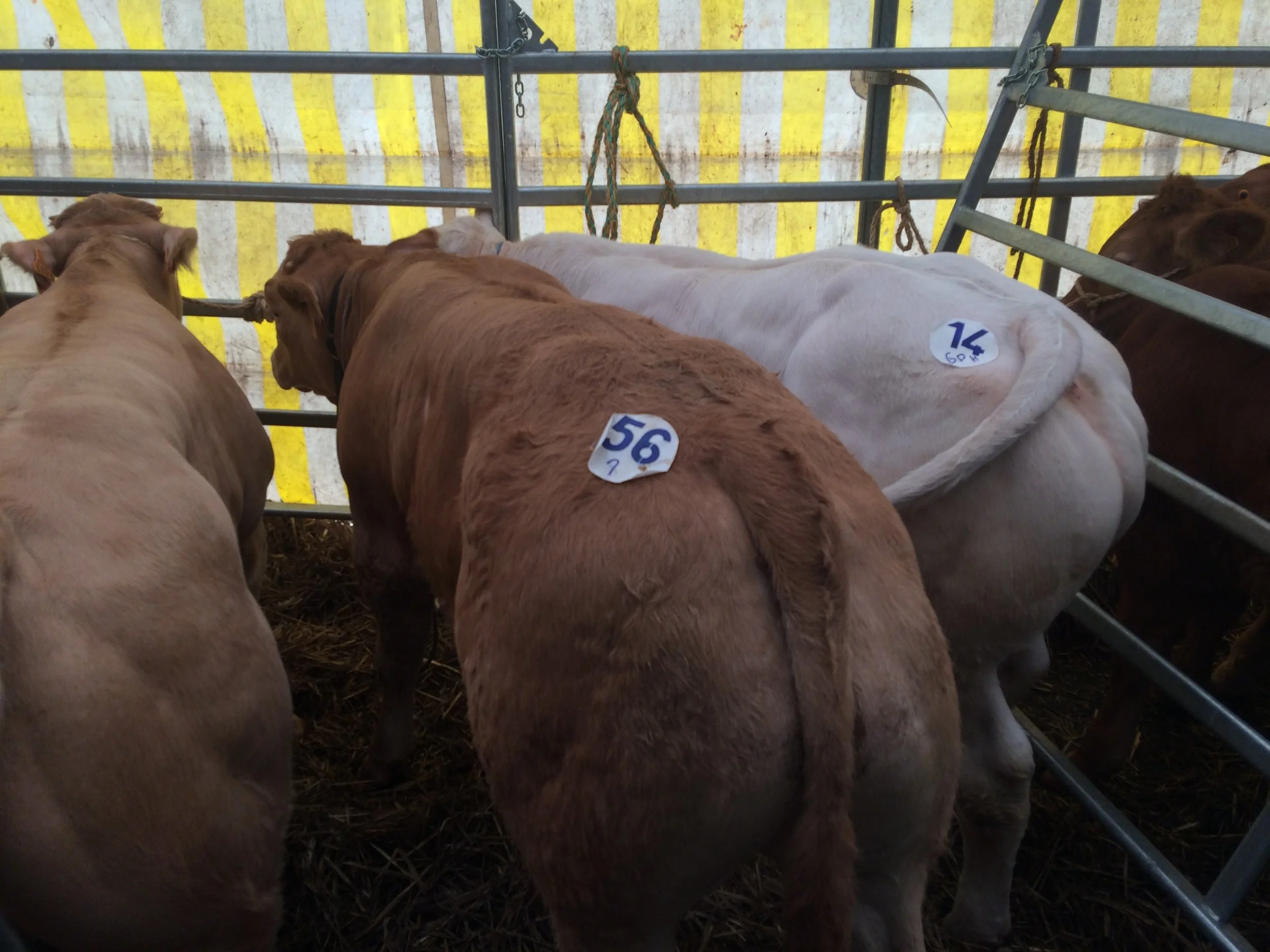 Nos éleveurs aussi !