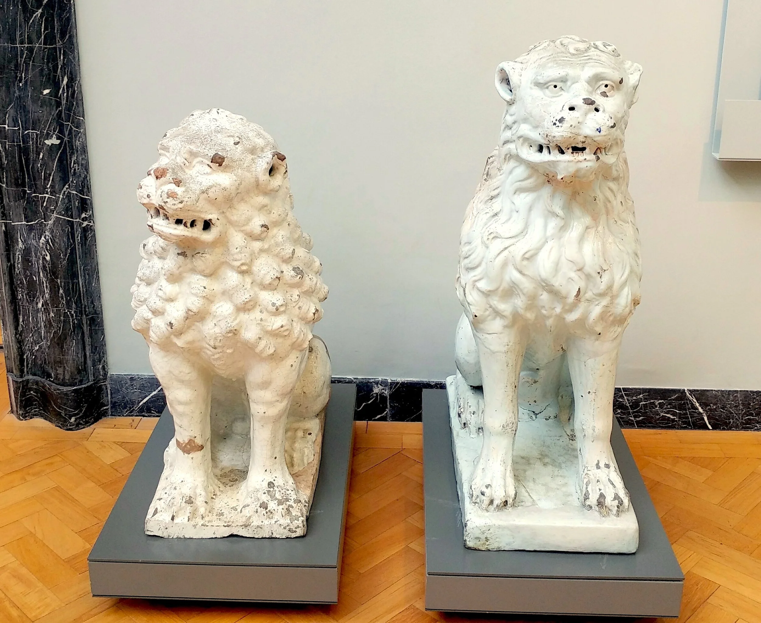 LIONS.jpg