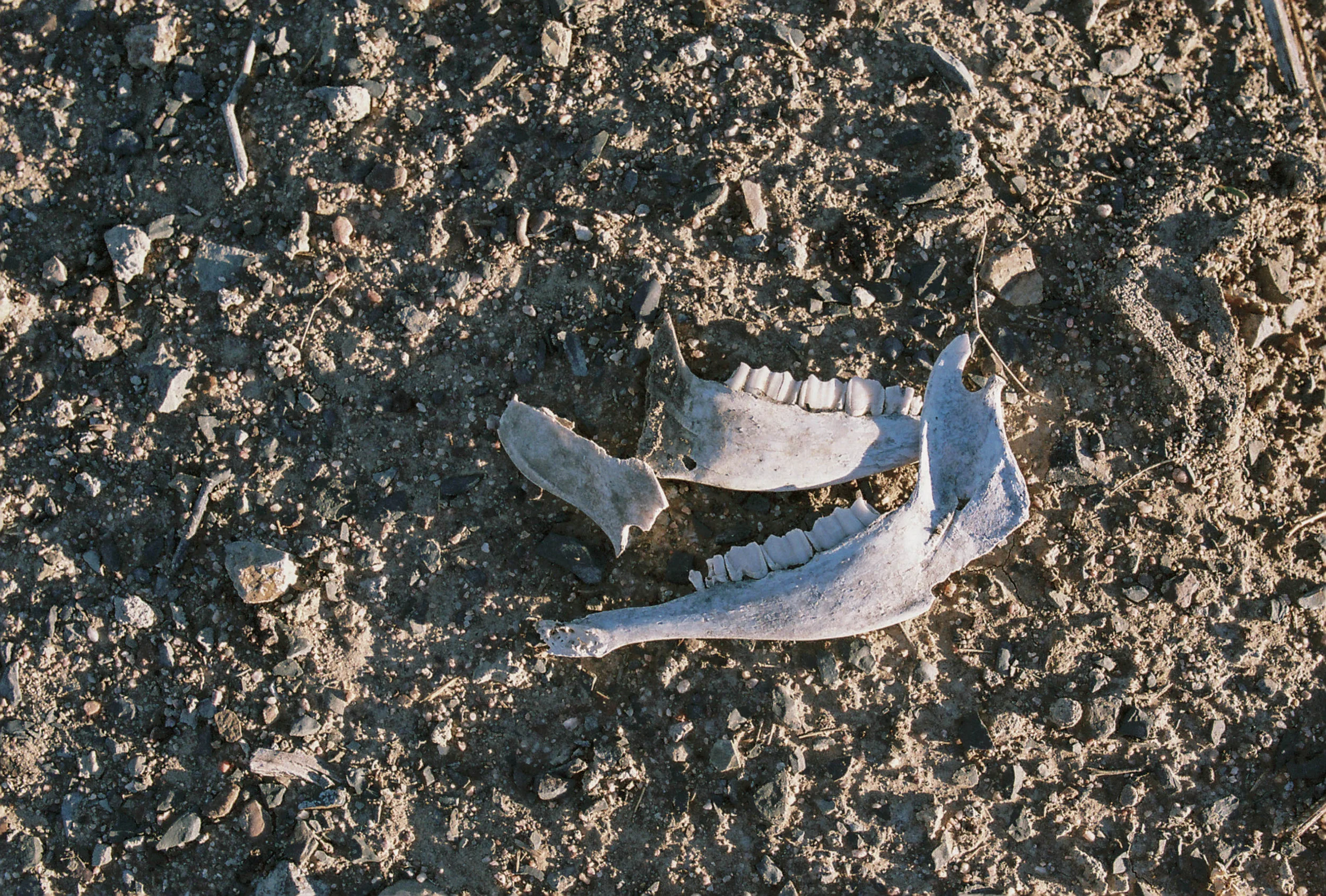 R1-04790-0004.jpg
