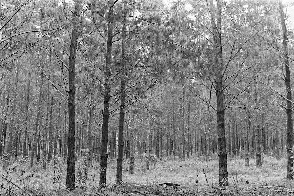 BnW12015-4.jpg