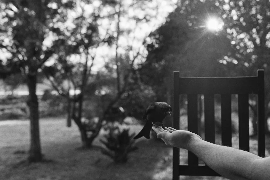 BnW12015-7.jpg