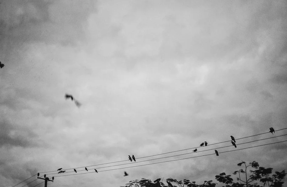 BnW12016-6.jpg