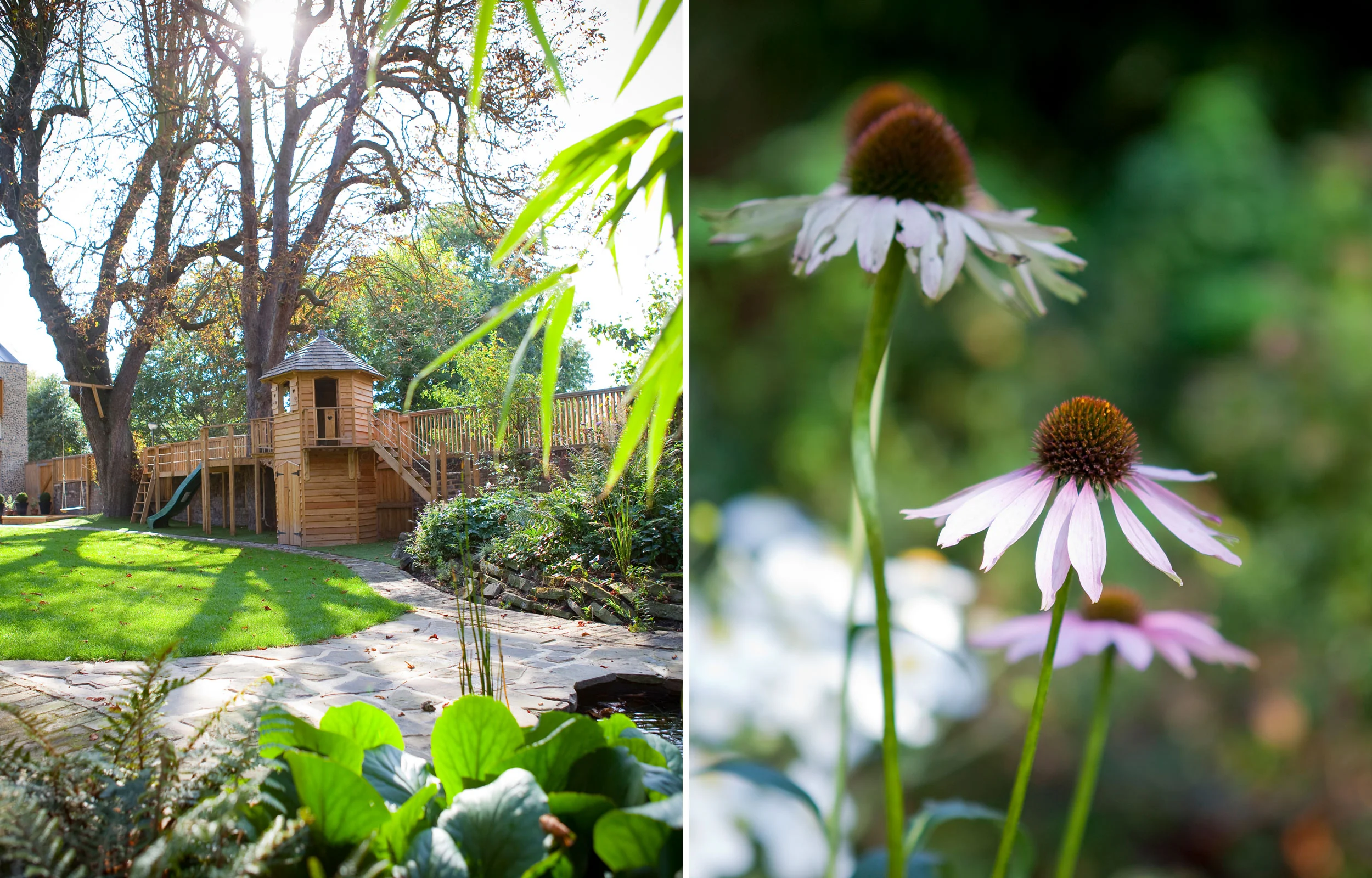 Garden_2_Morden-Road-Mews_8.jpg