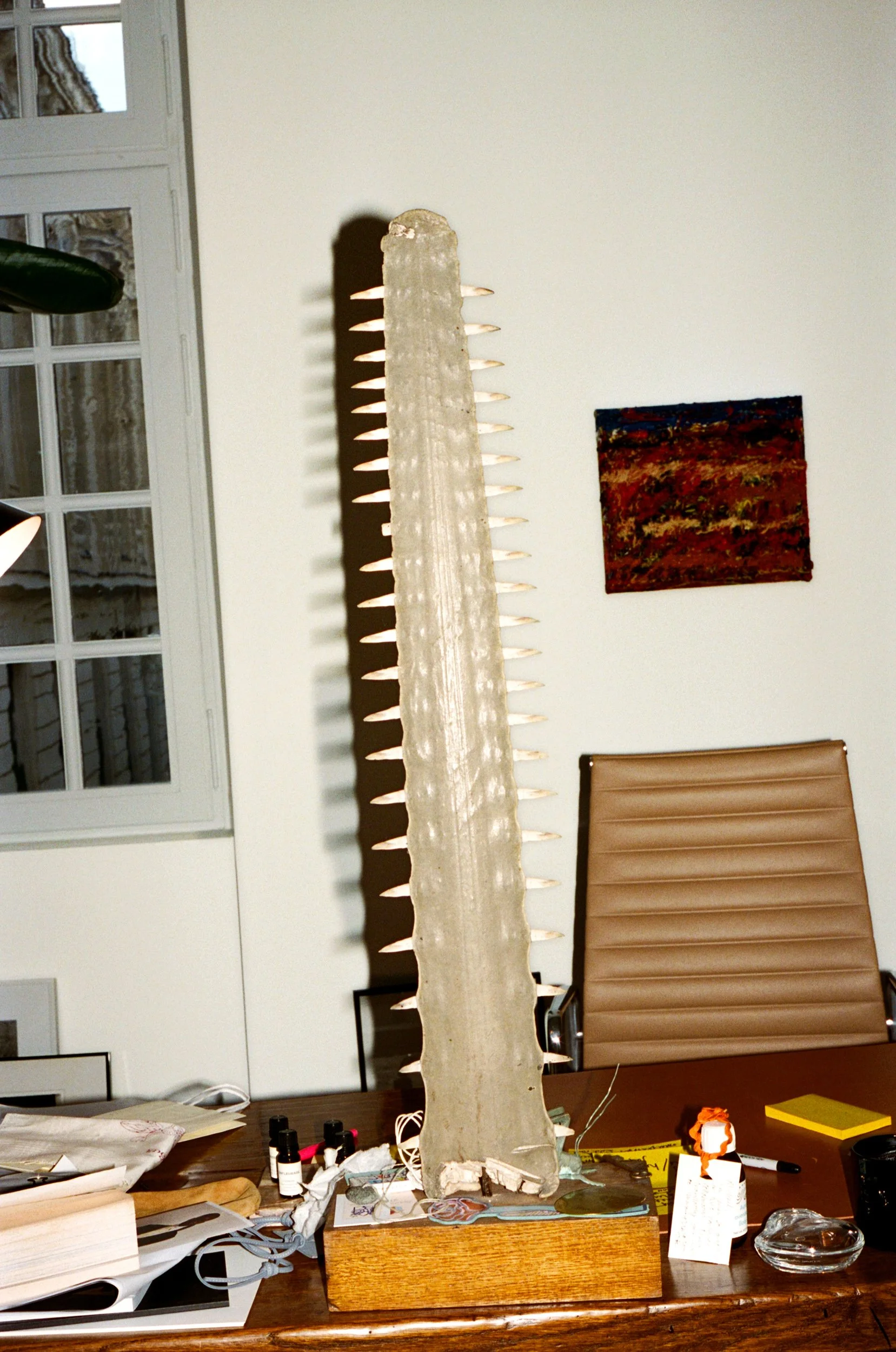 260205000015490025 copy.jpg