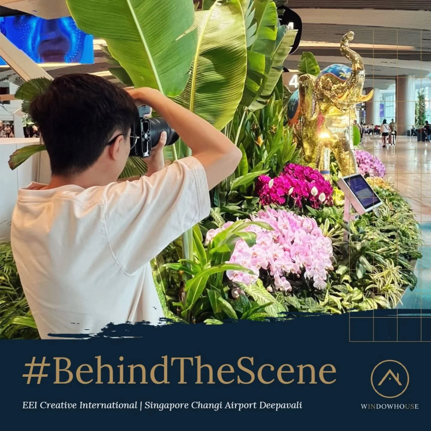 Behind the scenes with our photographer as he crafts content for incredible projects at Singapore Changi Airport! From capturing vibrant displays to showcasing beautiful designs, we love helping our partners bring their visions to life. Ready to elev