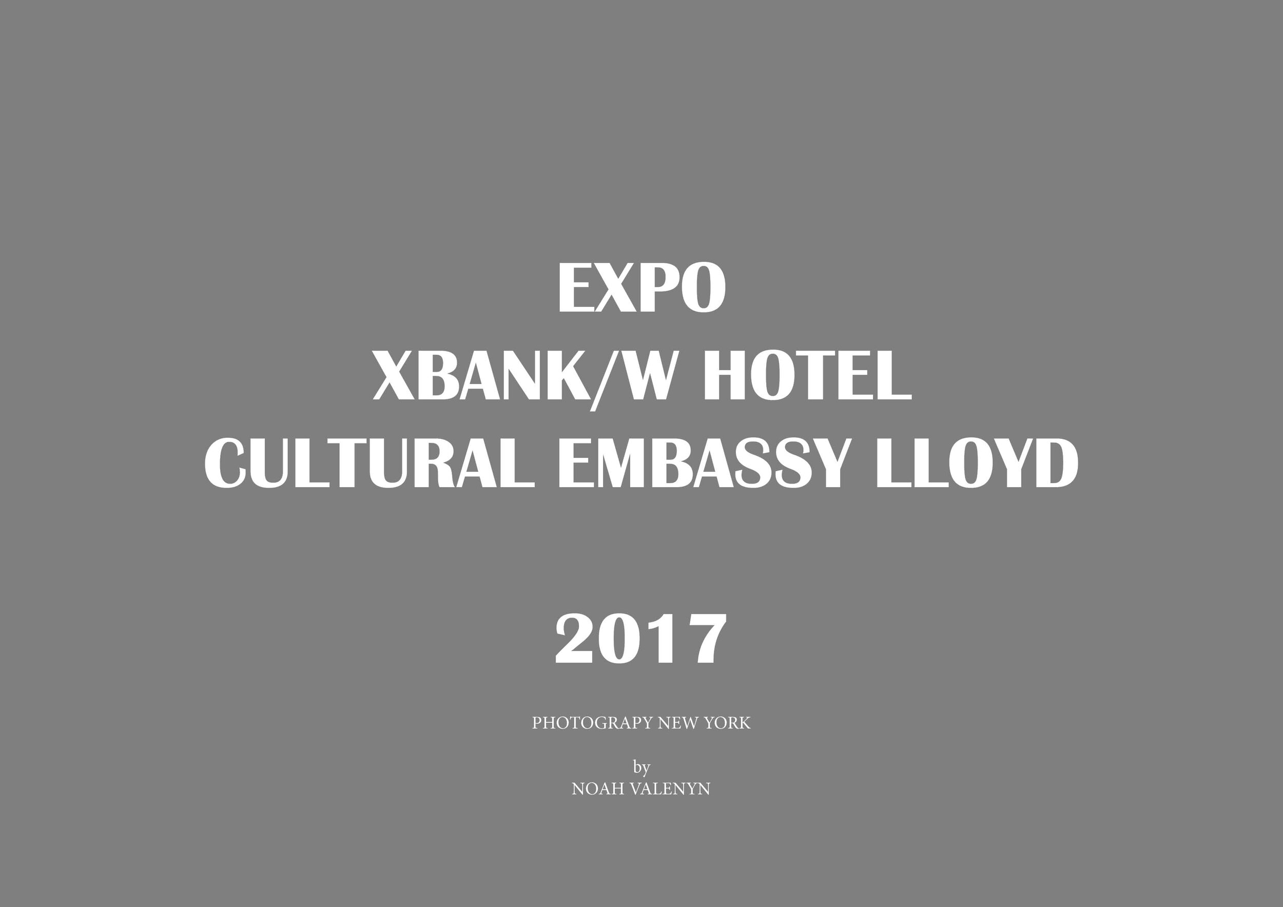 EXPO NEW YORK SERIES_W hotel_Cultural Embassy Lloyd_2017.jpg