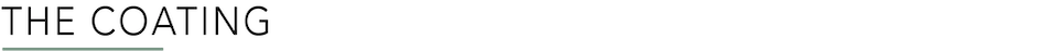The Coating.png