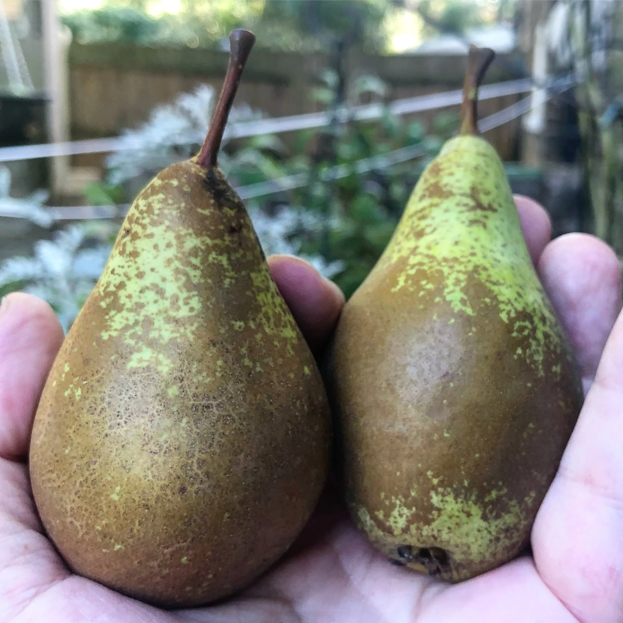 036C18AC-68C0-4EAE-98DA-CD8345FAB0E2