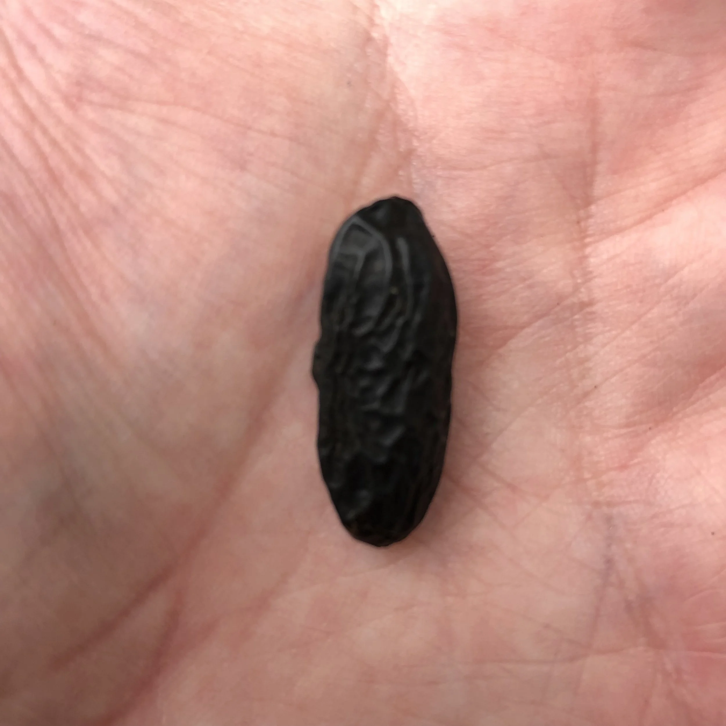 3FEE2FAC-B1AD-4221-A33B-9AAE09465D1D