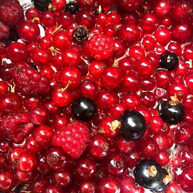 Homemade Berry Cordial - Managed to get some redcurrants, blackcurrants and raspberries from my berry patch before the birds! Made a delicious cordial that is nice with sparkling water (or sparkling wine!). #madeinmythermomix