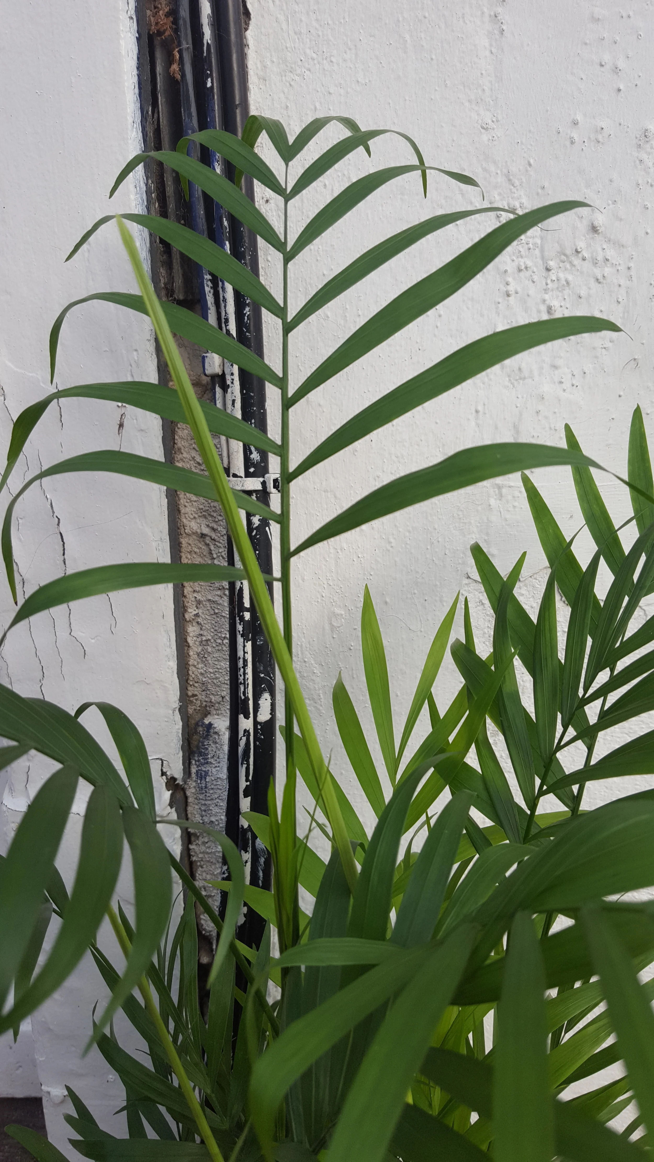 75129518-74C9-4FEA-AEF3-800FFC5207B8.jpeg